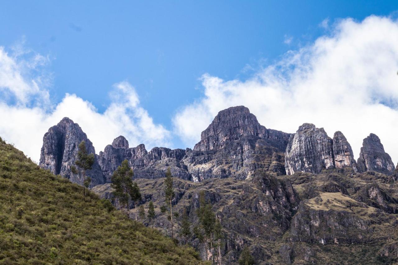 Casa Del Mono Sabio Pansiyon Calca Dış mekan fotoğraf